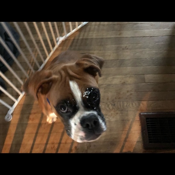 Meet your Posher, Natalie - Picture 1 of 1